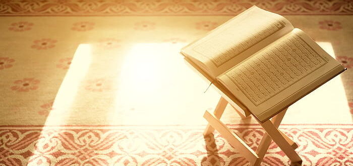 أصول تفسير القرآن الكريم السننية: للدكتور أحمد فرحات