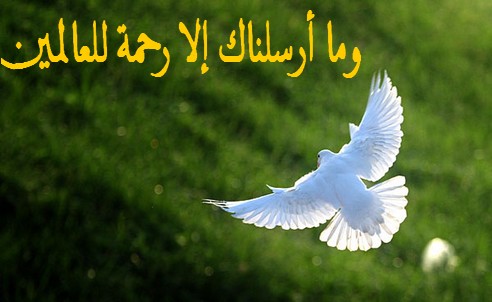 أثر الدعوة المحمدية في الحرية والمساواة: للعلامة محمد الطاهر بن عاشور